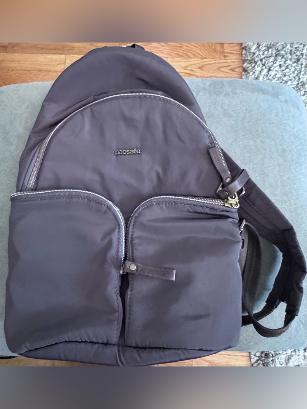 Pacsafe Travel Anti Theft Backpack in Deep Brown